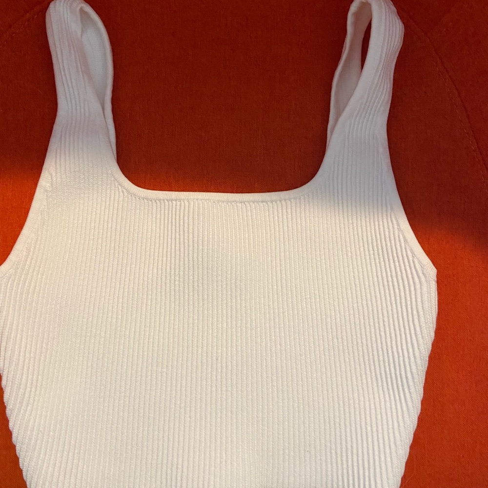 Aritzia Babaton Sculpt Knit Tank